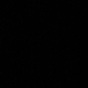 Meet your Posher, Carter